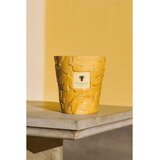 Baobab Collection Paz Dove mirisna svijeća 1000 g | shoptok.hr