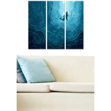 Wallity Set slika MDF2464799, 3 dijela | Eponuda.ba