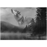  Tapeta - Forest Secrets 150x105 | shoptok.hr