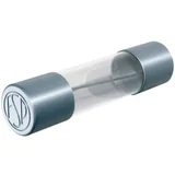 Finožični osigurač 5 mm x 20 mm 16 A 250 V Brz -B- Püschel FSF16,0B Sadržaj 10 ST