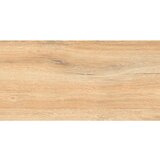 SERRA vanjske podne pločice sierra beige 31x62 cm, 1. klasa, 1,54 m2 | shoptok.hr