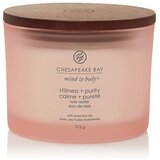 Chesapeake Bay Candle Mind & Body Stillness & Purity mirisna svijeća I. 312 g Cijene