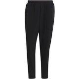 adidas MÃ¤nner Terrex Multi Hose - black GM4771 | BIKE24