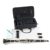 Roy Benson Bb-Klarinet CB-217 - Audio-Kondric | Shoptok.si