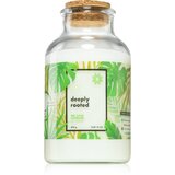 We Love Candles Go Green Deeply Rooted mirisna svijeća 420 g | shoptok.hr