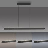SCHÖNER WOHNEN 12577-18 - led prigušiva luster na sajli adriana 2xLED/24W/230V crna | Eponuda.com