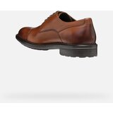 Geox Brown men's formal shoes Walk Pleasure - Men | Shoptok.si
