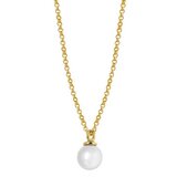 Victoria Cruz san valentin gold ogrlica sa perlom ( a3908-00dg )