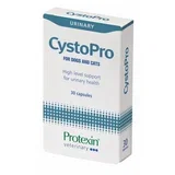 protexin cystopro podrška urinarnom traktu - 30kapsula