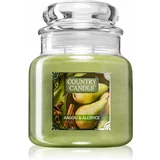 Country Candle Anjou & Allspice mirisna svijeća mala 453 g