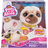 Pets Alive Kuca 9521 Cene