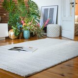 Lesnina-XXXL preproga z visokim florom | Shoptok.si