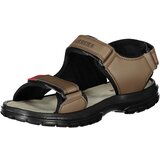 Carrera SHOE SANDAL MAN BROWN | ePonuda.com