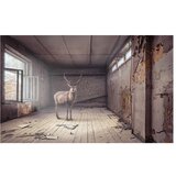  Tapeta - Lost 450x280 | shoptok.hr