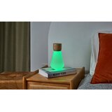 Gingko Prigušiva stolna lampa u prirodnoj boji (visina 19 cm) Pentagon - | shoptok.hr