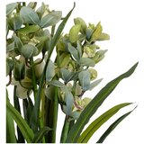 Ixia Umjetna biljka (visina 110 cm) Orchid – | shoptok.hr