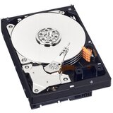 Western Digital 1 TB, WD10EZEX, SATA-6Gb, 7200 rpm, 64 MB caviar blue | Eponuda.ba
