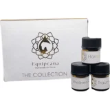 Mini Collection - 20 ml