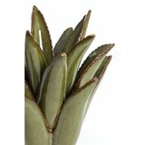 Light & Living Keramičen svečnik Cactus – | Shoptok.si