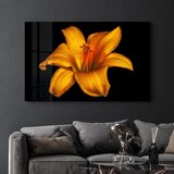 WALLXPERT CAM-5025 - Višenamenska Tempered Staklena Slika 46 x 72 cm | Eponuda.com