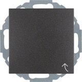 Berker Schuko vtičnica anth/mat 47441606, (20888288) Cene
