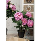  CVIJEĆE PEONIJA 58CM 49690 STAR Cijene