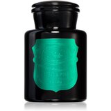 Paddywax Apothecary Noir Tabac & Pine mirisna svijeća 226 g Cijene