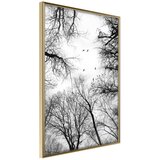  Poster - Treetops 40x60 Cijene