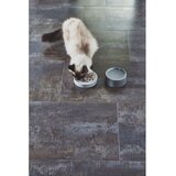 MiaCara Porculanska zdjela za hranu za ljubimce za mačke ø 14 cm Fresco Concrete S – | shoptok.hr