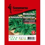 MOTOVILEC HOLANDSKI/Hollandischer breitblattriger 80g/šk.