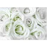 Samoljepljiva foto tapeta - Satin Rose (Green) 294x210 | shoptok.hr