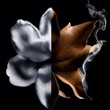 Givenchy L’Interdit Absolu parfemska voda intense za žene 50 ml | shoptok.hr