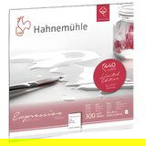  Hahnemühle Expression akvarel papir ograničeno izdanje 30x30 cm | Eponuda.ba