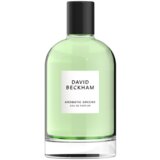 David Beckham Aromatic Greens parfumska voda 100 ml za moške | Shoptok.si