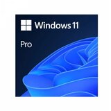 Microsoft Windows 11 Pro