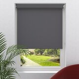 EXPO AMBIENTE Rolo (Š x V: 150 x 190 cm, Sive boje, Propusno za danje svjetlo) | shoptok.hr