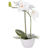 Umetna Rastlina Orchidee Ii --