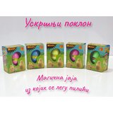 5 magičnih jaja iz kojih se rađaju pilići | ePonuda.com