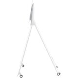 Samsung projektor STN-WM55RXEN | ePonuda.com