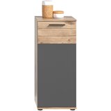 MID.YOU Spodnja Omarica Mason, Siva, Barva Hrasta | Shoptok.si
