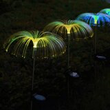 Aigostar LED solarna dekorativna lampa LED/0,03W/1,2V 70cm 2700K IP44 | Eponuda.com