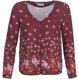 Casual Attitude LICINIA Bordo Cijene
