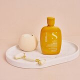 ALFAPARF MILANO alfaparf semi di lino sunshine after-sun low šampon 250ml | Eponuda.com