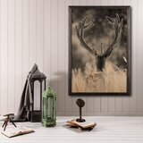 Wallity slika stag, 35 x 50 cm Cene