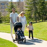 Lorelli dječja kolica Quick, Beige | shoptok.hr
