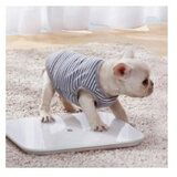 Kućna pametna vaga Xiaomi Mi Smart Scale 2 bluetooth NUN4056GL | Eponuda.ba