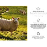 Agnella Siva volnena preproga 200x300 cm Ros – | Shoptok.si