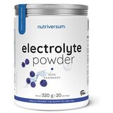 NUTRIVERSUM Electrolyte Powder Flow, 320g Cene