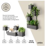 Umbra Plastične posude za cvijeće u setu 4 kom za bilje/viseće i zidne Cubiko – | shoptok.hr
