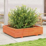  Vrtna sadilica voštano smeđa 100x100x26 5 cm masivna borovina | shoptok.hr